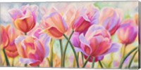 Tulips in Wonderland Fine Art Print