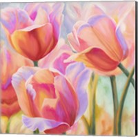 Tulips in Wonderland II Fine Art Print