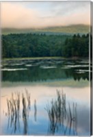 Fog obscures the summit of Mt Monadnock, New Hampshire Fine Art Print