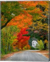 Road lined in fall color, Andover, New England, New Hampshire Fine Art Print