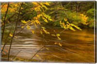 New Hampshire, White Mountain National Forest River Fine Art Print