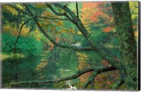 Fall Along the Lamprey River in Durham, New Hampshire Fine Art Print