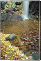Pitcher Falls in White Mountains, New Hampshire Fine Art Print