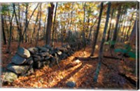 Stone Wall, Nature Conservancy Land Along Crommett Creek, New Hampshire Fine Art Print