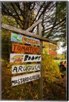 Farm stand in Holderness, New Hampshire Fine Art Print