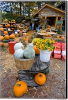 A farm stand in Holderness, New Hampshire Fine Art Print