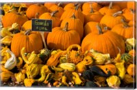 Gourds at the Moulton Farm, Meredith, New Hampshire Fine Art Print