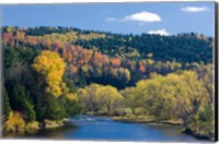 Fall along the Connecticut River in Colebrook, New Hampshire Fine Art Print