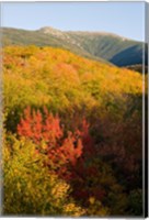 Mount Lafayette in fall, White Mountain National Forest, New Hampshire Fine Art Print