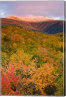 Mt Lafayette in Autumn, New Hampshire Fine Art Print