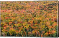 New Hampshire, White Mountains, Autumn Fine Art Print