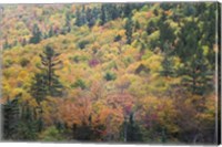 New Hampshire, White Mountains, Crawford Notch, fall foliage by Mount Washington Fine Art Print