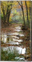 Autumn at Schuster Hollow in Grant County, Wisconsin Fine Art Print