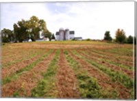 Barn and Silo, Colts Neck Township, New Jersey Fine Art Print