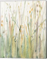 Spring Grasses I Crop Fine Art Print