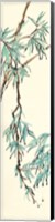 Summer Bamboo II Fine Art Print
