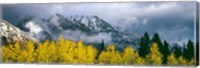 Mount Saint John, Grand Teton National Park, Wyoming Fine Art Print