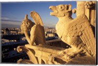 Gargoyles of the Notre Dame Cathedral, Paris, France Fine Art Print