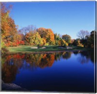 Trees in a golf course, Patterson Club, Fairfield, Connecticut Fine Art Print