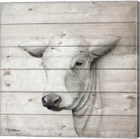 January Cow II Fine Art Print