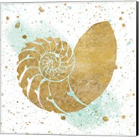 Silver Sea Life Aqua Shell Fine Art Print
