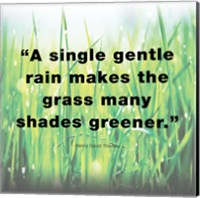 A Single Gentle Rain - Henry Thoreau Quote (Light) Fine Art Print