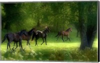 Running Horses Fine Art Print