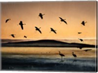 Fly-In At Sunset Fine Art Print