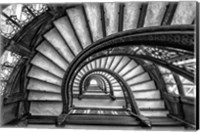 The Rookery Fine Art Print