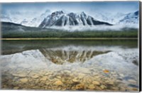 Waterfowl Lake I Fine Art Print