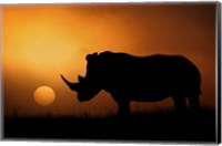 Rhino Sunrise Fine Art Print
