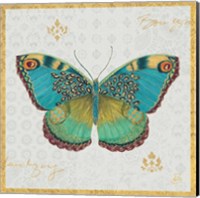 Bohemian Wings Butterfly I Fine Art Print