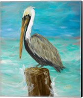 Single Pelican on Post Fine Art Print