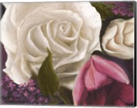 Among the White Roses Fine Art Print