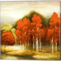 Autumn Birchwood I Fine Art Print