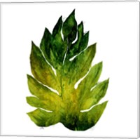 Green Leaves Square I Fine Art Print