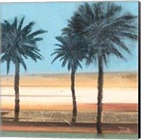 Coastal Palms on Aqua Fine Art Print