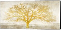 Shimmering Tree Fine Art Print