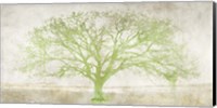 Green Tree Fine Art Print