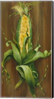 Ear of Corn Fine Art Print