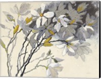 Magnolias Yellow Gray Fine Art Print