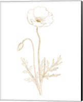 Gilded Botanical I Fine Art Print