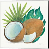 Coconut Palm V Fine Art Print