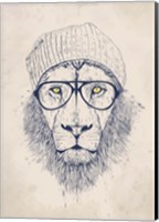 Cool Lion Fine Art Print