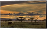 Africa Fine Art Print