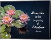 Wonder is the Beginning of Wisdom Water Lily Color Fine Art Print