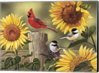 Sunflowers and Songbirds Fine Art Print