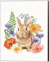 Sunny Bunny II FB Fine Art Print