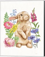 Sunny Bunny III FB Fine Art Print