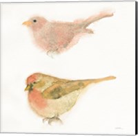 Watercolor Birds II Sq Fine Art Print